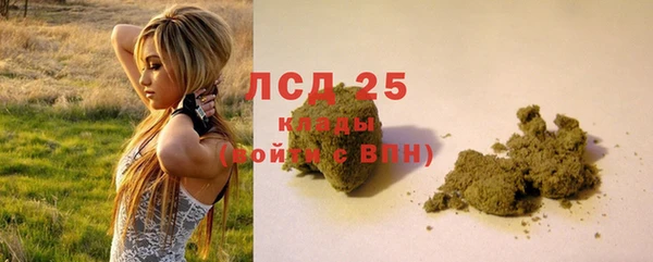 стафф Новодвинск