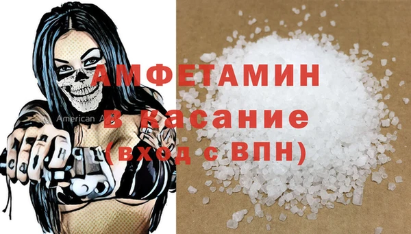 стафф Новодвинск