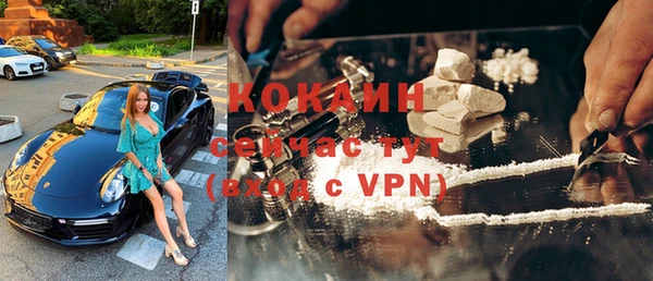 СК Новозыбков