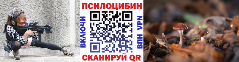 Псилоцибиновые грибы Cubensis  купить  сайты  Кулебаки 