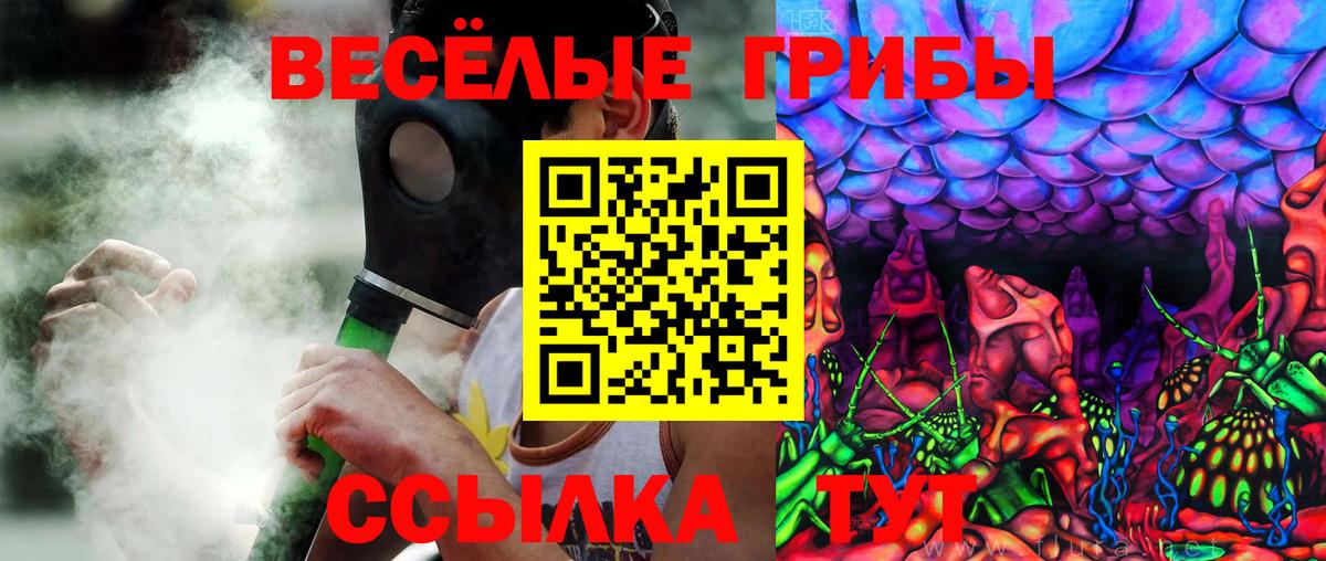 Псилоцибиновые грибы прущие грибы Кулебаки