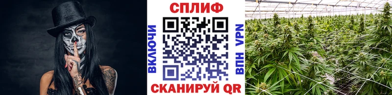 MEGA ССЫЛКА  Кулебаки  Каннабис VHQ 
